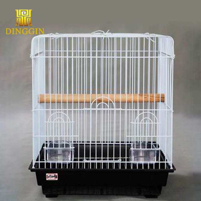 Wire Mesh Bird Cage for India